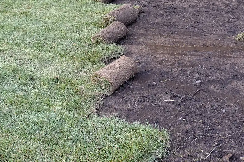 A Step-by-Step Guide on How to Lay Sod Over Existing Lawn in Beaumont TX