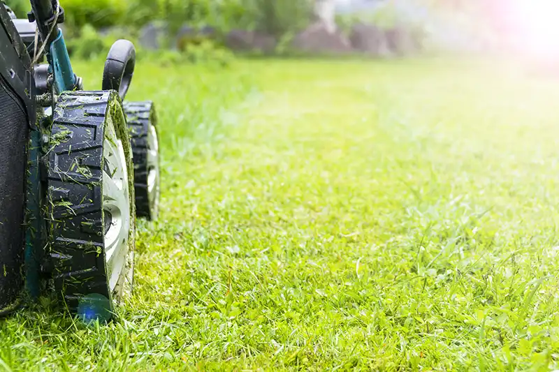 A Step-by-Step Guide on How to Mow a Lawn Beaumont TX