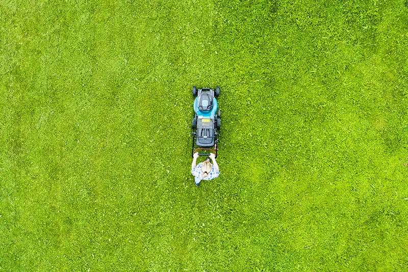 A Step-by-Step Guide on How to Mow a Lawn in Beaumont TX