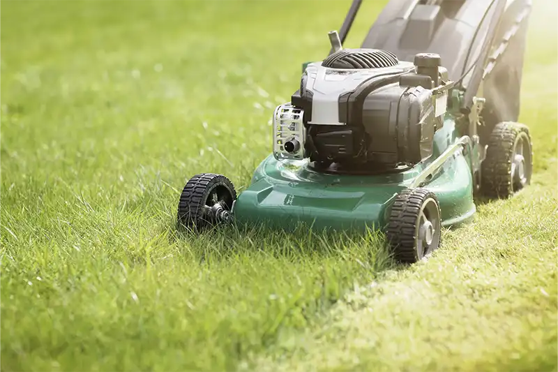 Can You Mow Wet Grass to Keep Your Lawn Healthy Beaumont TX