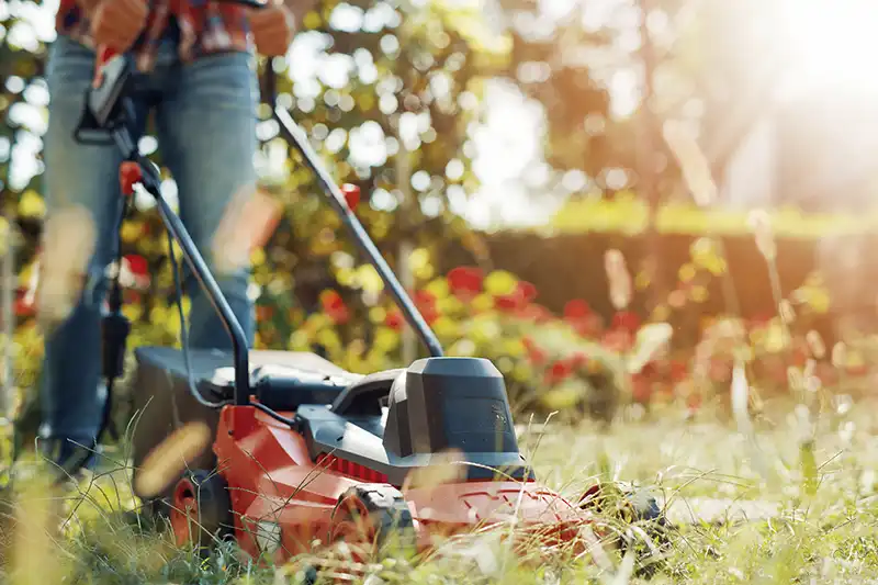 Can You Mow Wet Grass to Keep Your Lawn Healthy in Beaumont TX