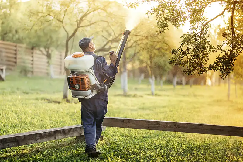 Lawn Fertilization in Beaumont TX