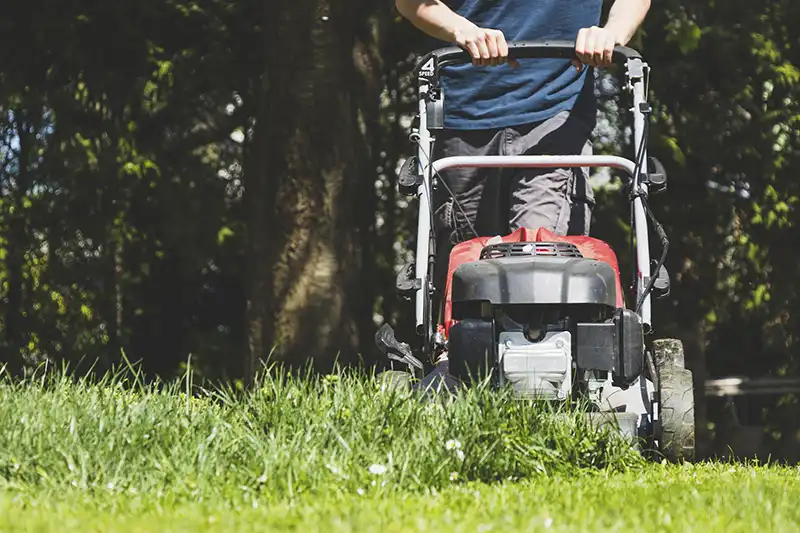 Lawn Mowing Beaumont TX