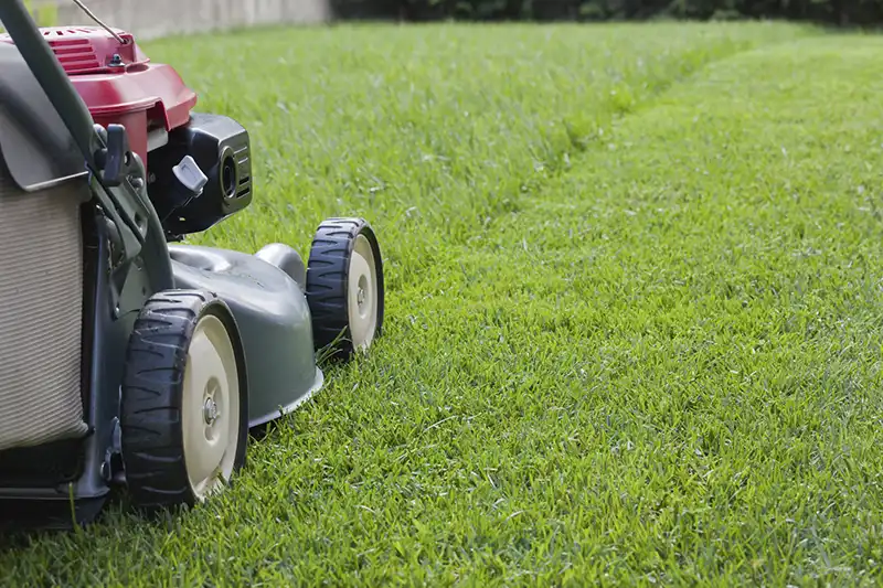 Lawn Mowing for Beaumont TX