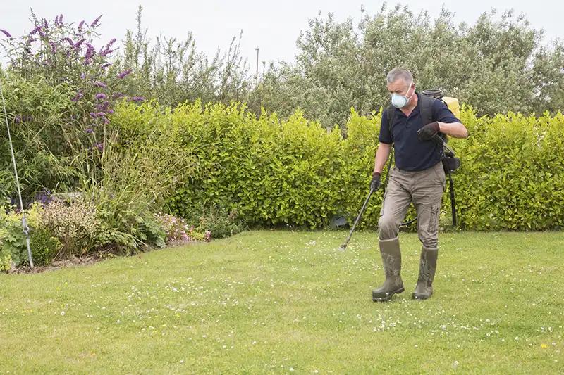 Timing Your Turf When Is the Best Time to Fertilize Your Lawn Beaumont TX