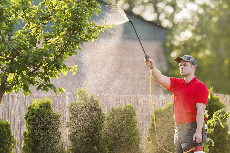 Timing Your Turf When Is the Best Time to Fertilize Your Lawn in Beaumont TX