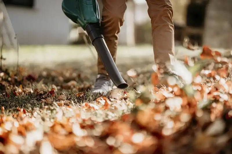 Yard cleanup for Beaumont TX