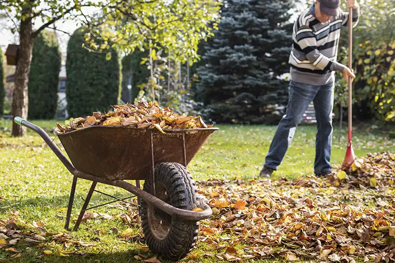 Yard cleanup in Beaumont TX